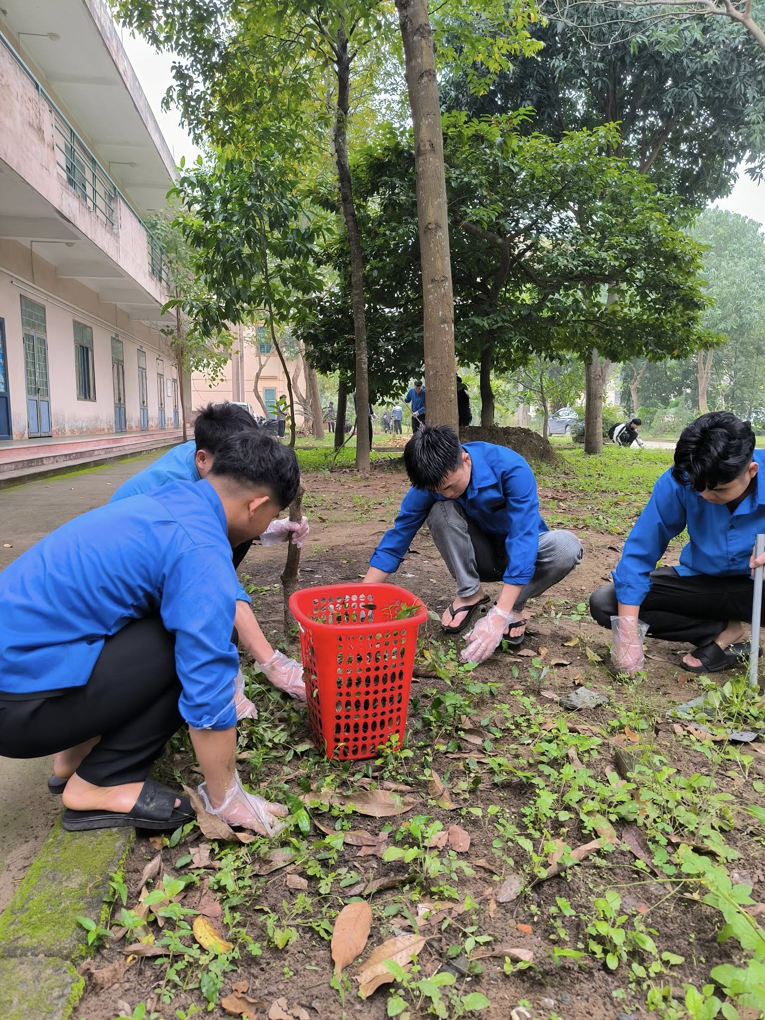 Hoạt động thường xuyên vì môi trường xanh - sạch - đẹp