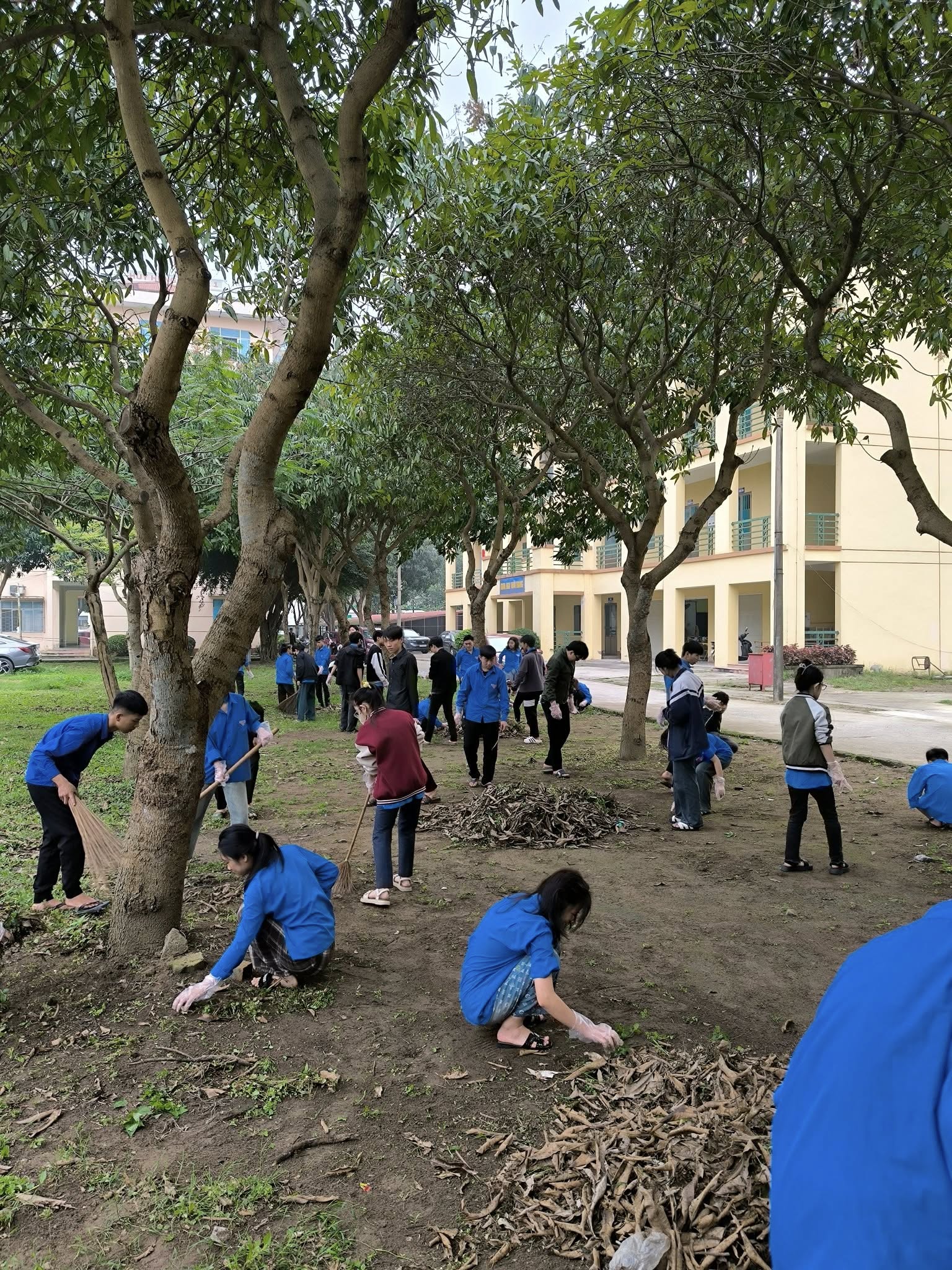 Hoạt động thường xuyên vì môi trường xanh - sạch - đẹp